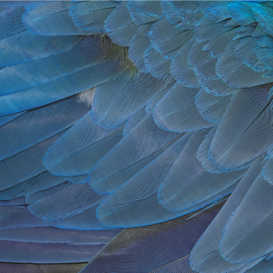 Private Banking 950x950 3